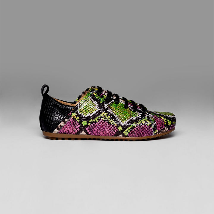 Multicolored sneaker with snake pattern on a gray background